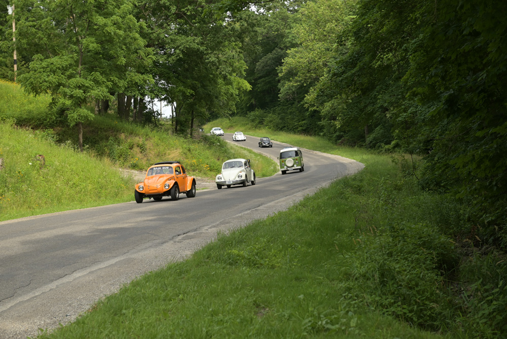 Standard Beetle leads the parade