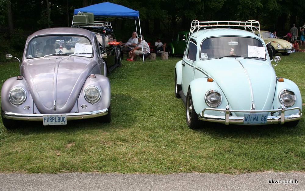 Two VW Bugs sitting side by each