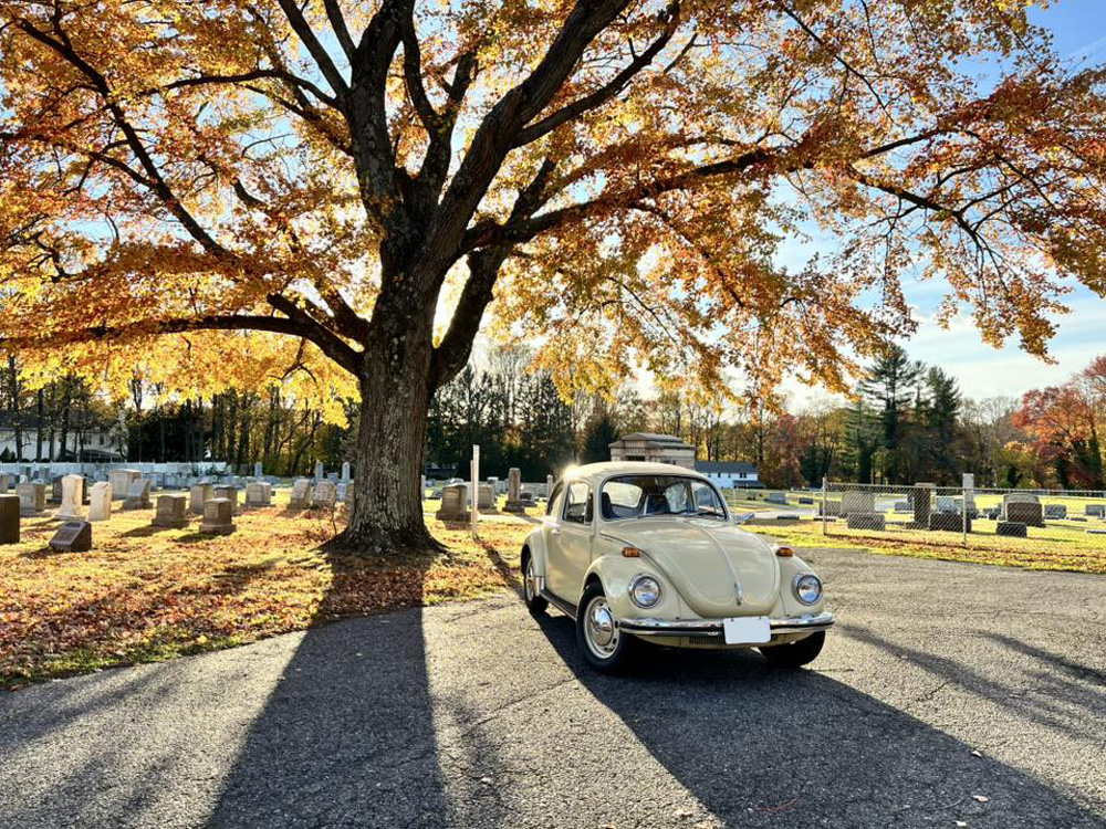 Contact us to feature your VW Super Beetle